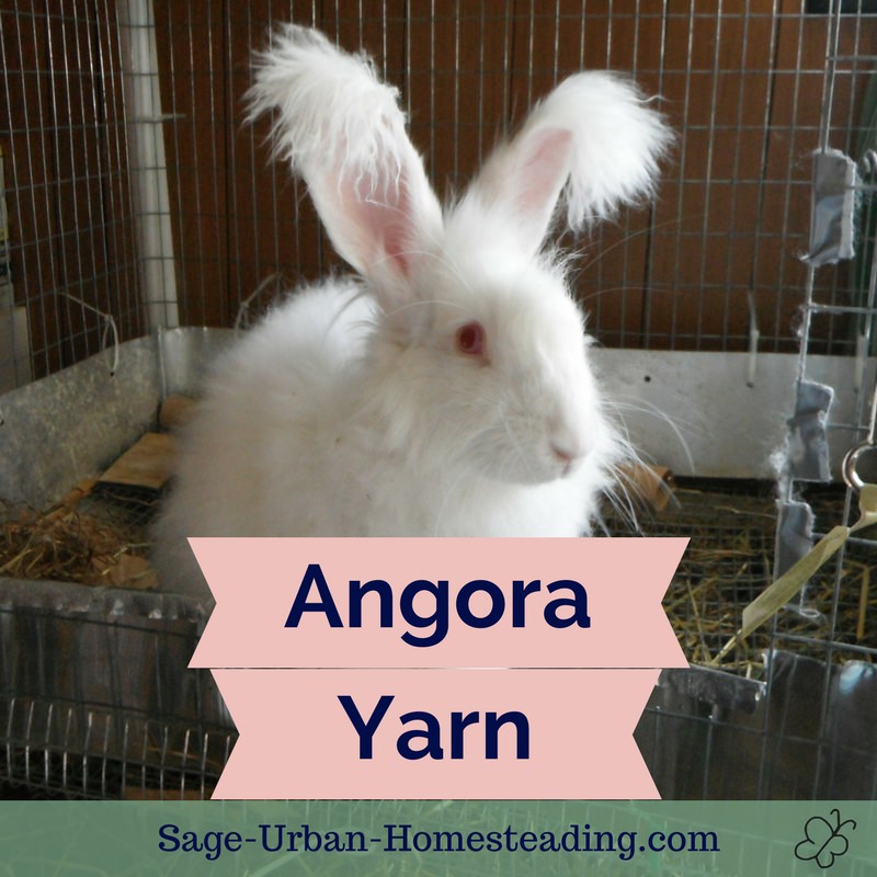 Angora Yarn from Rabbits