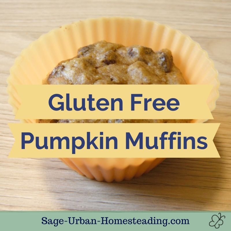 gluten free pumpkin muffins